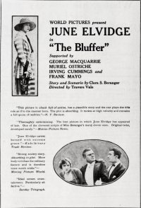 The Bluffer
