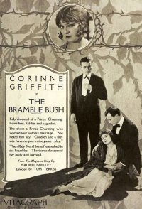 The Bramble Bush