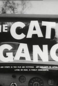 The Cat Gang