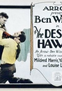 The Desert Hawk