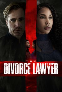 The Divorce Lawyer
