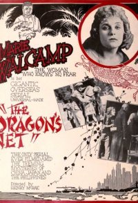 The Dragon's Net