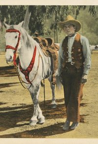 The Fighting Buckaroo