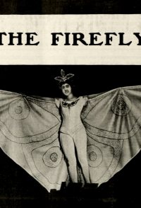 The Firefly