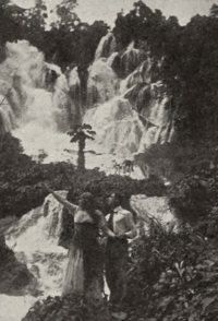 The Flame of Passion