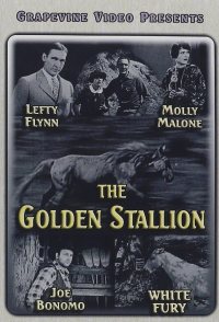 The Golden Stallion