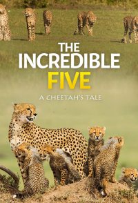 The Incredible Five A Cheetah's Tale