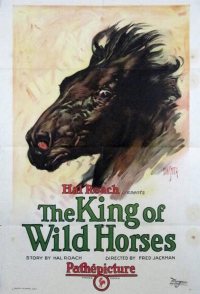 The King of Wild Horses