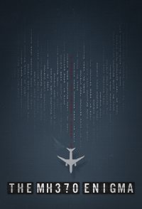 The MH370 Enigma