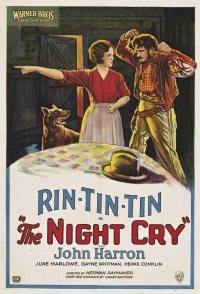 The Night Cry