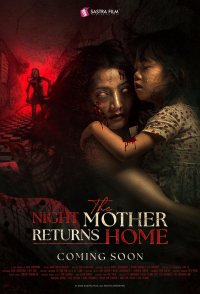The Night Mother Return Home