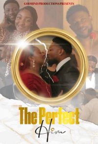 The Perfect Him