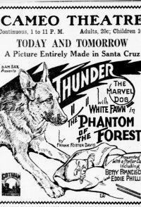 The Phantom of the Forest