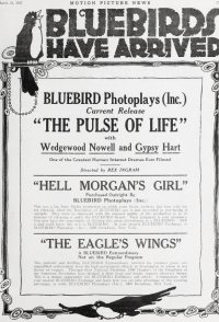 The Pulse of Life