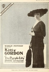 The Purple Lily