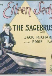 The Sagebrush Lady