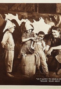 The Sawdust Doll