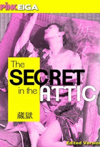 The Secret in the Attic