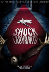 The Shock Labyrinth