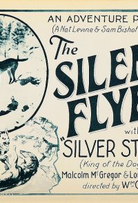 The Silent Flyer