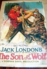 The Son of the Wolf