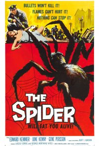 The Spider