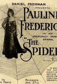 The Spider