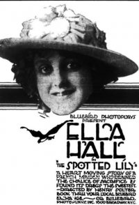 The Spotted Lily