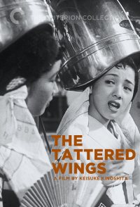 The Tattered Wings