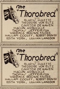 The Thoroughbred