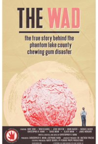 The Wad: The True Story Behind the Phantom Lake County Chewin...