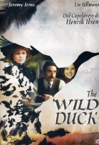 The Wild Duck