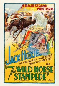 The Wild Horse Stampede