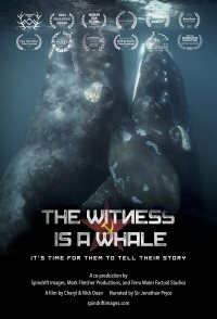 The Witness Is a Whale
