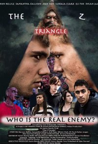 The Z Triangle