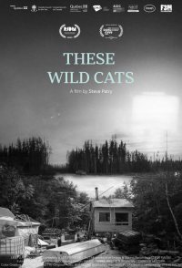 These Wild Cats