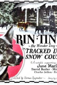 Tracked in the Snow Country