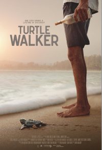Turtle Walker