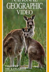 Valley of the Kangaroos
