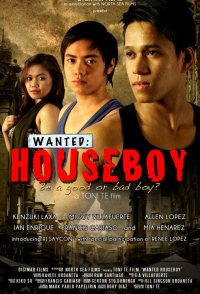 Wanted: Houseboy