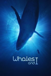 Whales and I