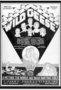 Wild Geese