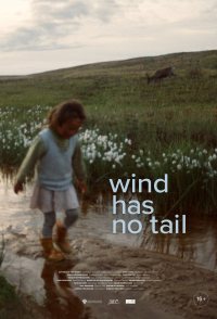 Wind Has No Tail
