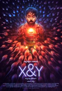 X&Y