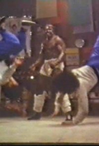 Young Dragons: Kung Fu Kids II