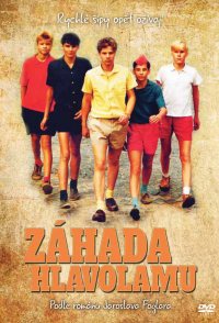 Záhada hlavolamu