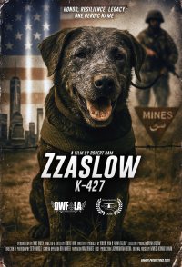Zzaslow K-427