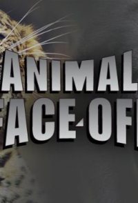 Animal Face Off