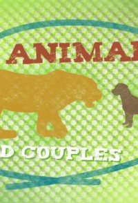Animal Odd Couples