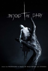 Beyond the Dark